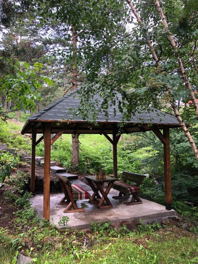 Veselica Villa Divcibare Ngoại thất bức ảnh
