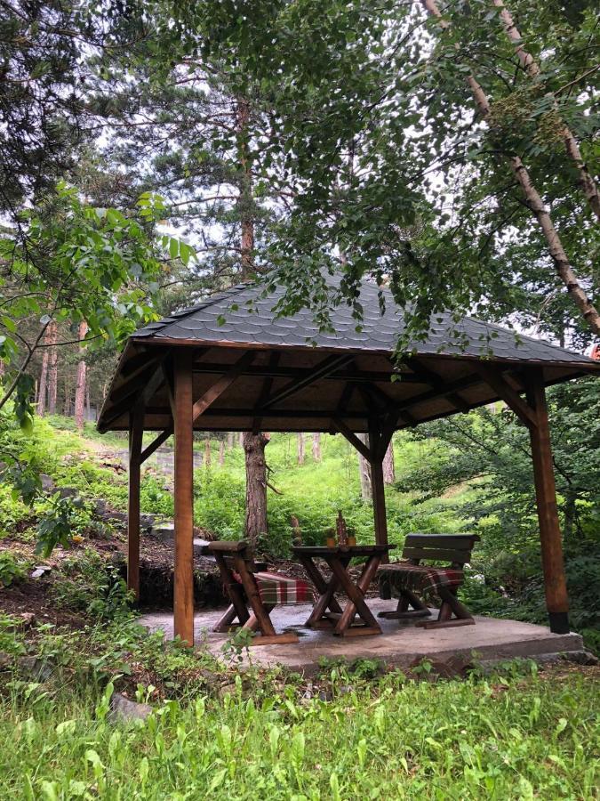 Veselica Villa Divcibare Ngoại thất bức ảnh
